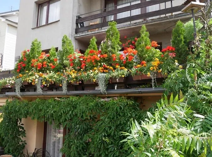 Blanca * Władysławowo